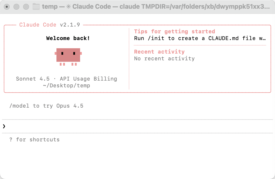Claude Code Terminal